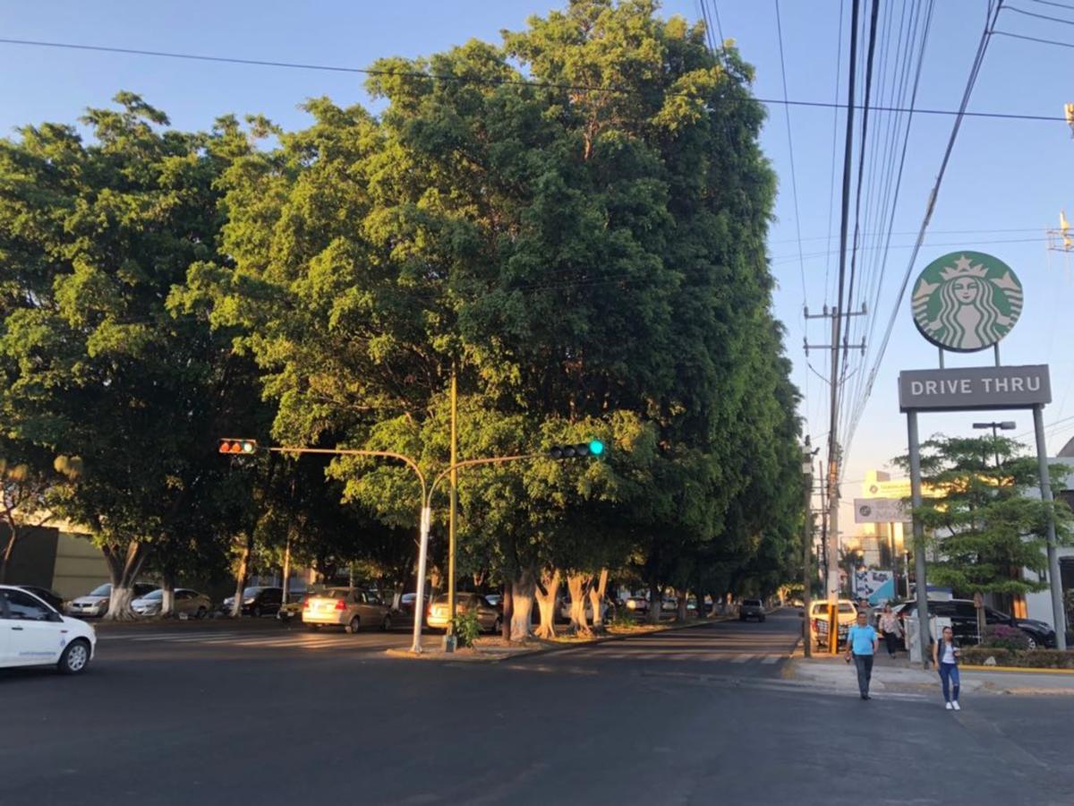 Вилла Expo Guadalajara House Сапопан Экстерьер фото